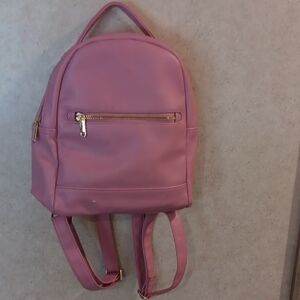 Wild Fable Pink Backpack with Gold Accents